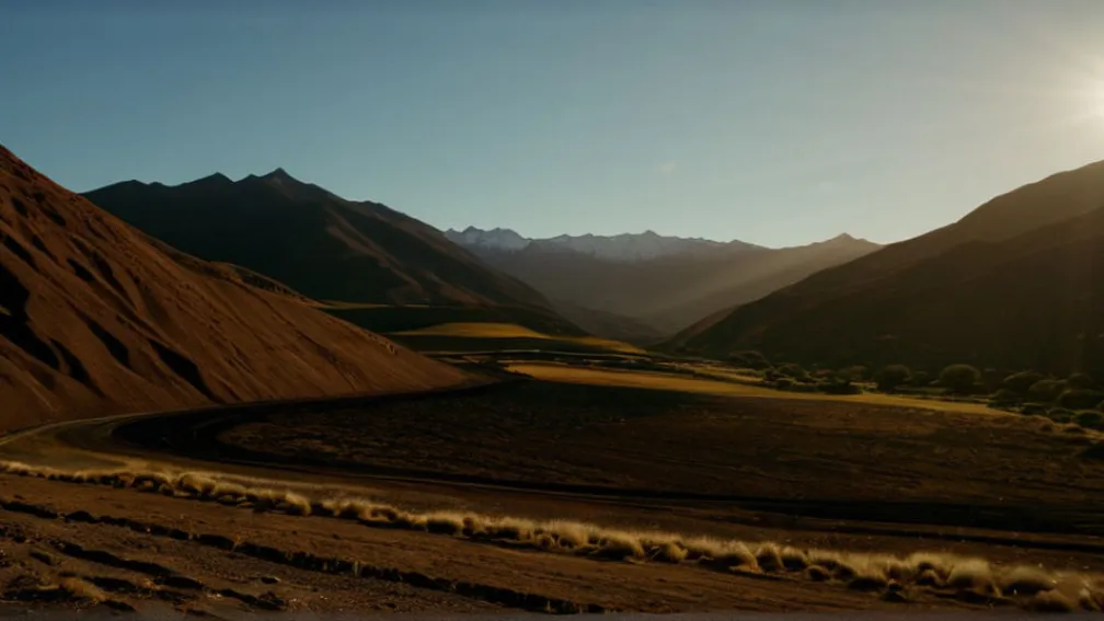 Жаннетт Хара: Восхождение кандидата от левых сил Чили