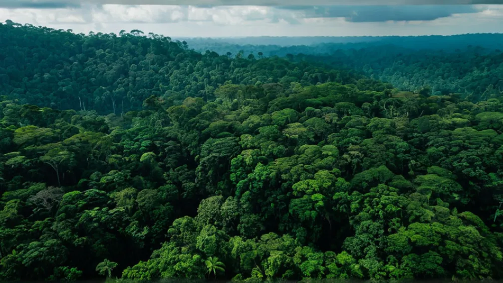 Климатический саммит в Белене: Призыв к мировой борьбе с изменением климата и отпор отрицателям
