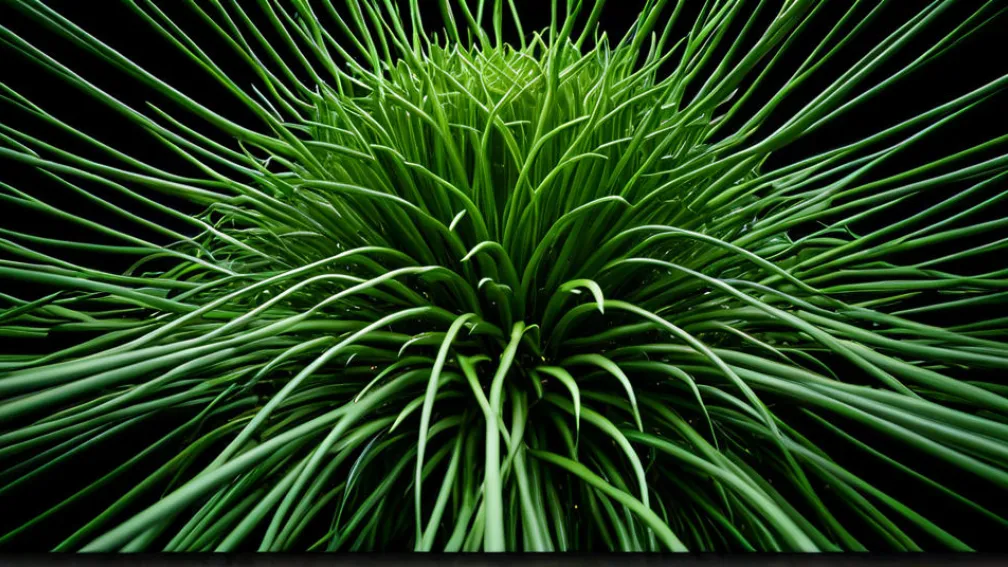 Маркус Габриэль: Этика добра как ключ к прибыльному бизнесу и прогрессу.