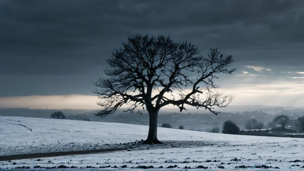 Новый фильм Давида Труэбы «Siempre es invierno» получил высокую оценку критиков