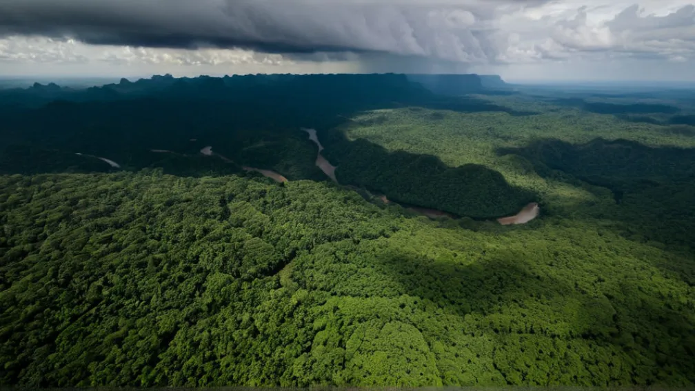 Задержание "Пипо": Эквадорский наркобарон, инсценировавший свою смерть, пойман благодаря международной операции