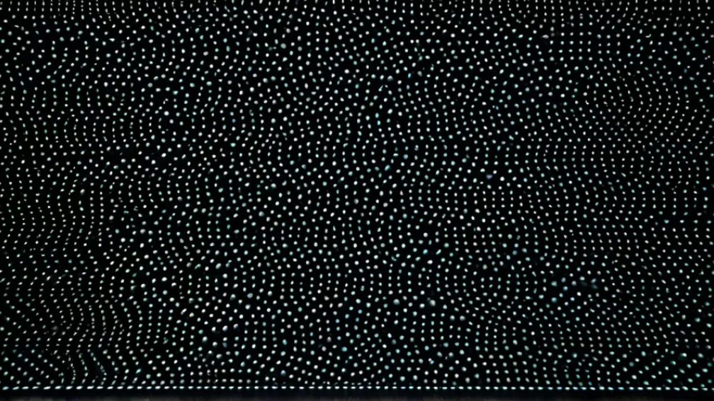 «Всё, что я сделала за деньги»: книга Виолеты Ньеблы о нестабильной карьере поколения