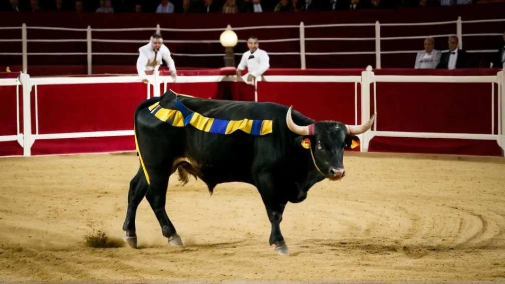 Церемония награждения победителей корриды в Казино де Мадрид: отсутствие Моранте де ла Пуэбла