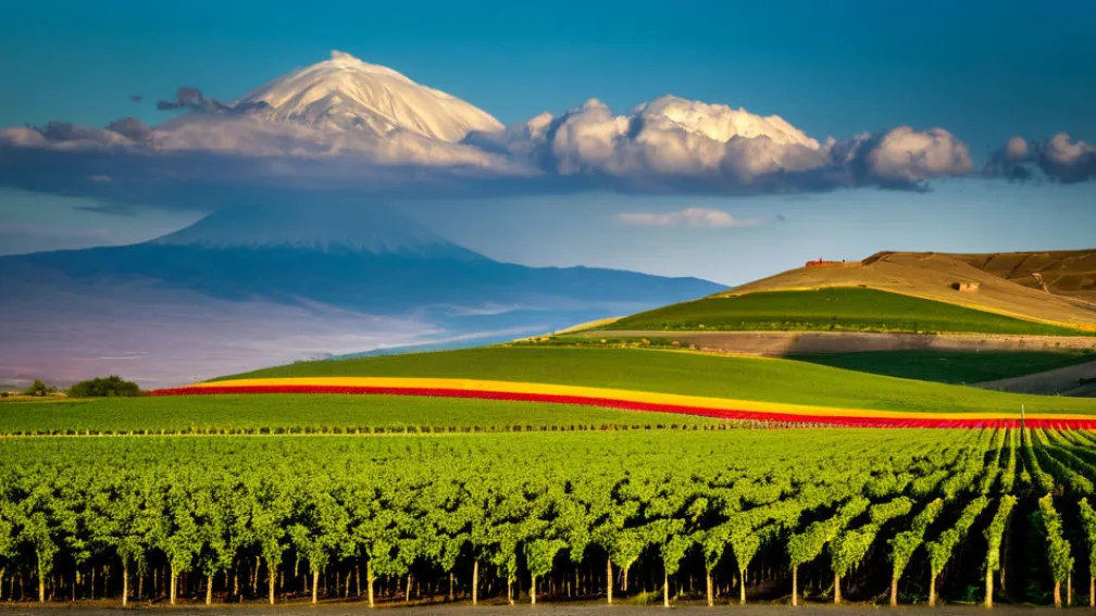 Отношения между Арменией и Азербайджаном: перспективы и вызовы
