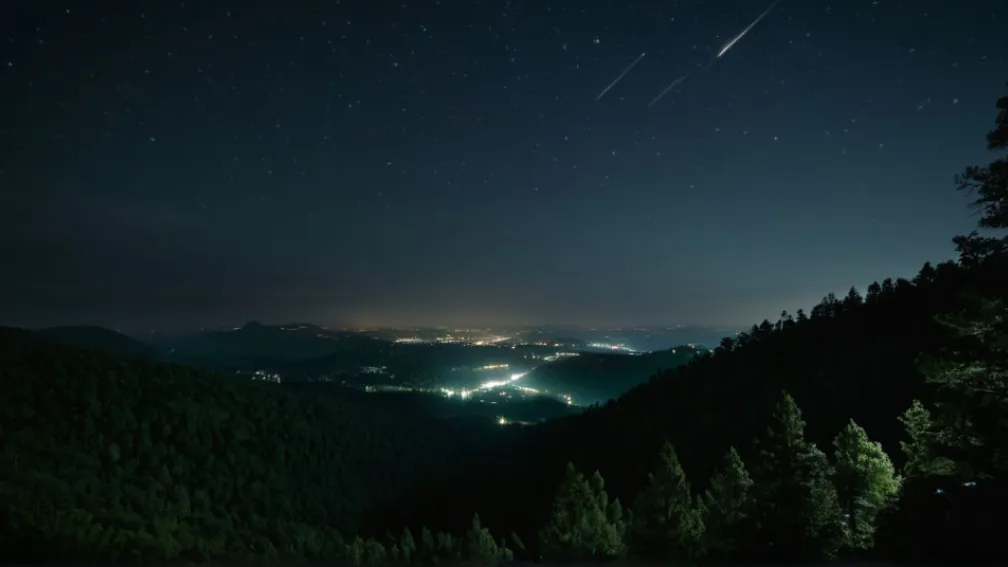 Манифест темноты: Как световое загрязнение угрожает ночной жизни планеты