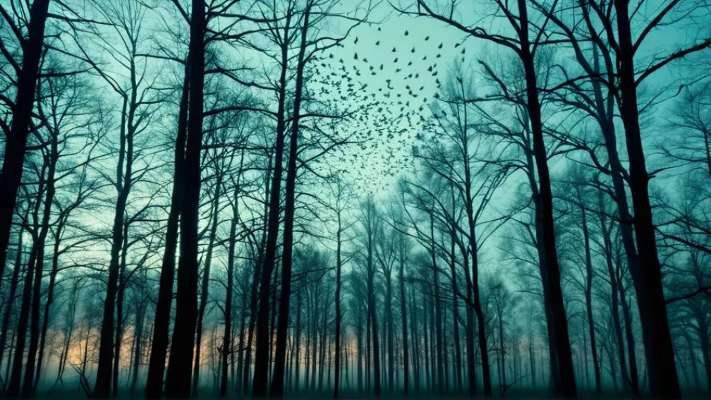 Загадка поющих скворцов: Новый роман Жан-Ива Жуанне о денацификации и идеологиях