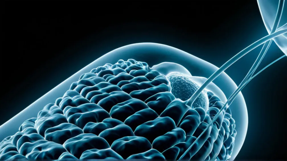 Daiichi Sankyo: Инновации и Устойчивое Развитие как Основа Научного Прогресса