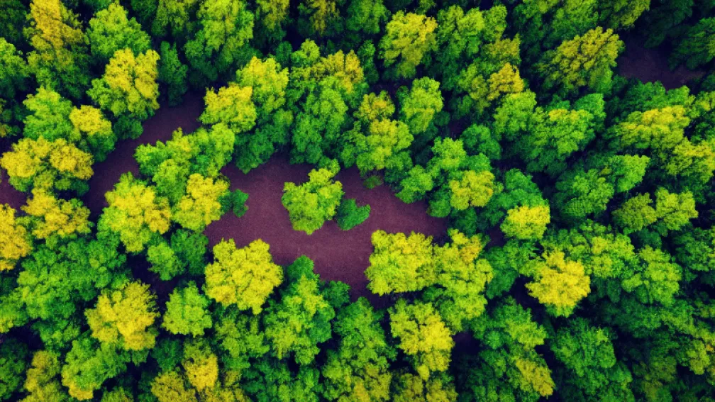 Naturgy: Ключевые моменты и последствия выкупа акций