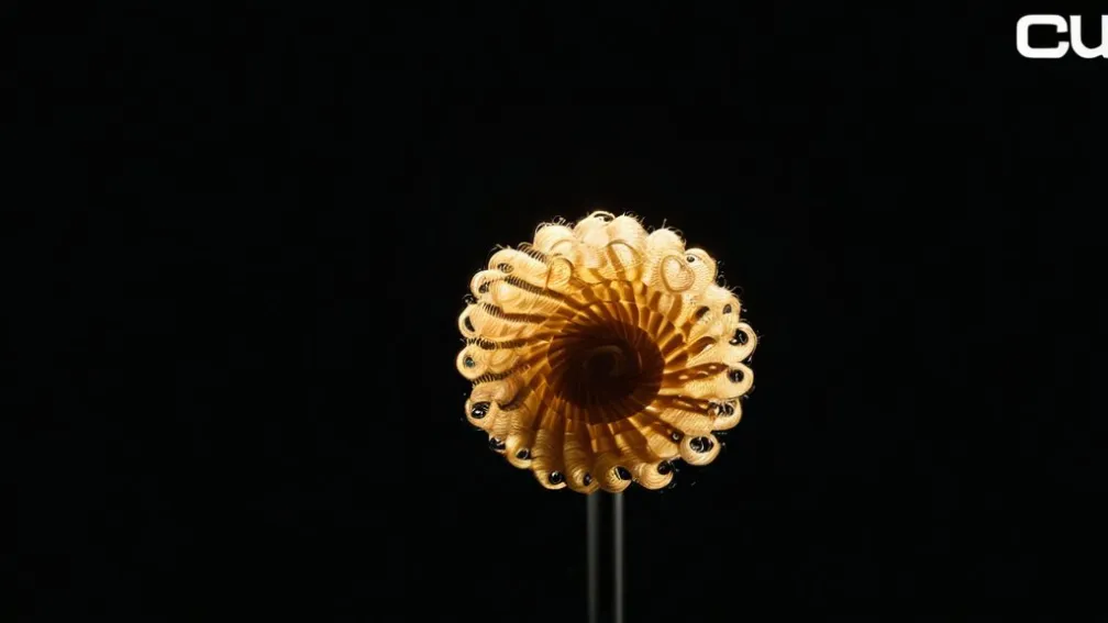 Лучший способ прохождения по программе 'curly' и выбора подходящего стилизатора для волос