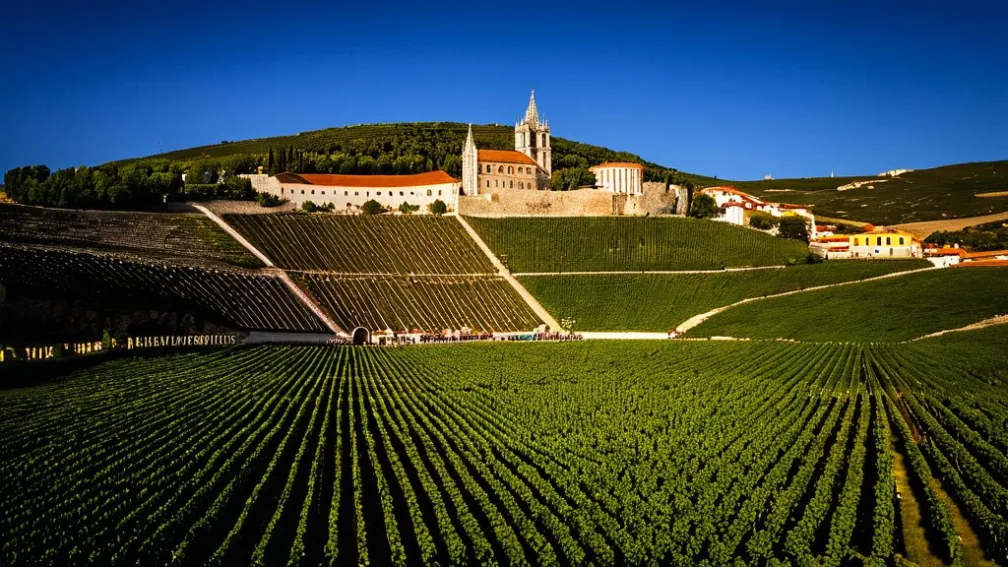 Высокая Рибера Бургоса: Исторические Достопримечательности