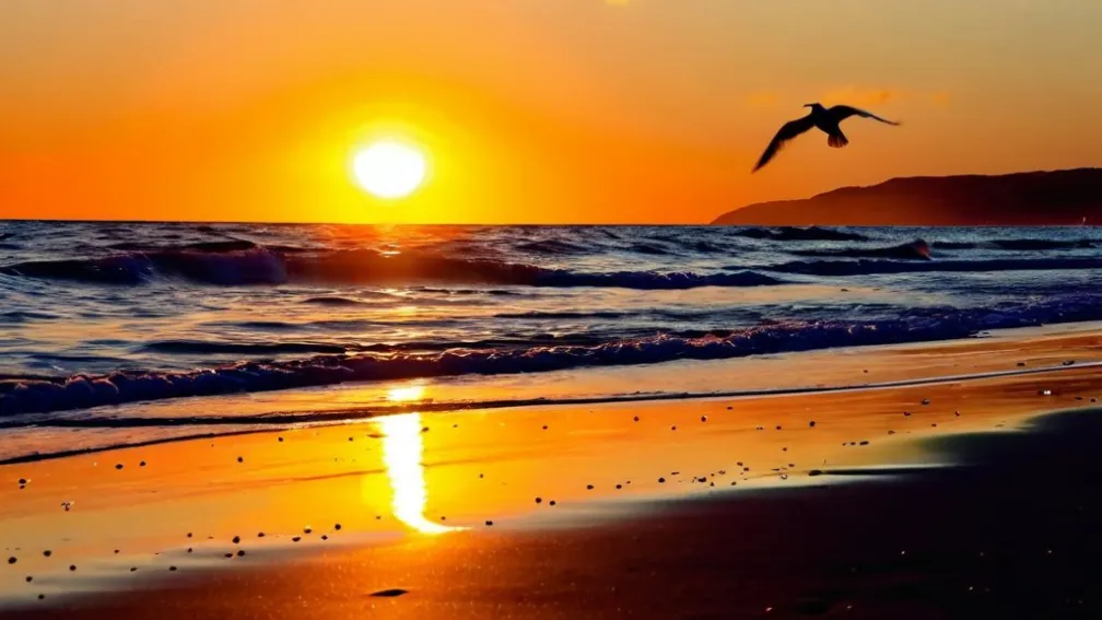 Игра временной эмпатии зла