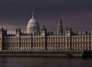 Скандал в Reform UK: Отставка главы партии после дебатов о бурке