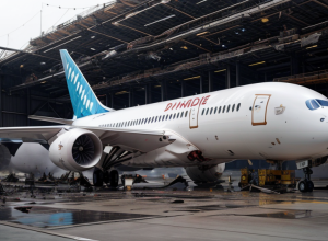 Акции Boeing упали после крушения 787 Dreamliner в Индии: что происходит?