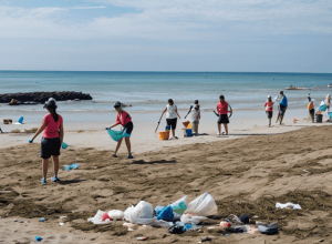 Волонтеры очистили пляж Барселонета: собрано 90 кг мусора
