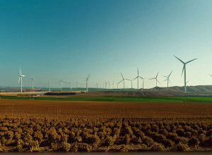 Мексика на COP30: Новые Климатические Цели и Вызовы Выполнения Обещаний