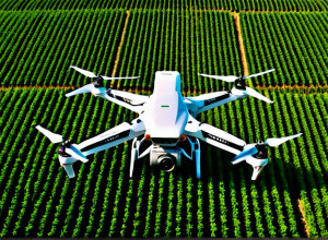 История успеха: Как стартап изменил сельское хозяйство