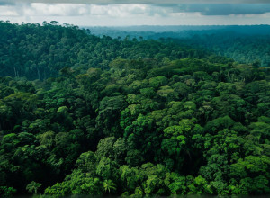 Климатический саммит в Белене: Призыв к мировой борьбе с изменением климата и отпор отрицателям