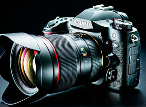 Пример статьи на русском языке