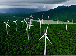 Банк CAF выделит $40 млрд на «зеленый» рост в Латинской Америке и Карибском бассейне