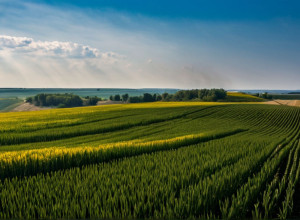 История Украины