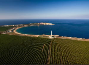 Признание Крыма российским