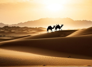 Верблюжья бригада Мавритании: Щит Сахары против джихадизма