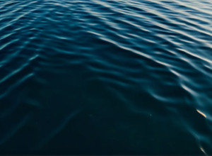 Япония и Китай: Первое геополитическое испытание нового премьер-министра Санаэ Такаичи из-за Тайваня