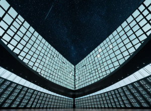 Люсия Тахан: Художница, предсказавшая монетизацию наших движений