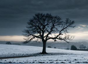 Новый фильм Давида Труэбы «Siempre es invierno» получил высокую оценку критиков