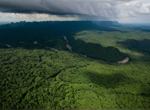 Задержание "Пипо": Эквадорский наркобарон, инсценировавший свою смерть, пойман благодаря международной операции