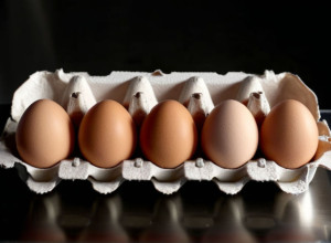 Птичий грипп лишил испанские супермаркеты яиц свободного выгула