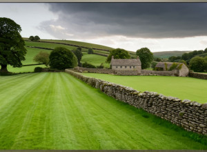 «Все существа, большие и малые»: дата выхода 6 сезона и подробности о популярном британском сериале