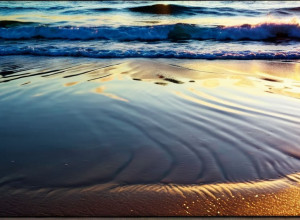 Эссе Ноэлии Рамирес: Исследование идентичности, утраты и поиска голоса в "Меня здесь никто не ждал"