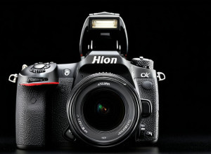 Шимпанзе идут на войну ради выживания потомства: эволюционная стратегия