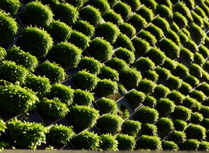 Барселона преображает городские стены: международный конкурс для молодых архитекторов