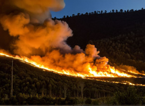 Пироман приговорен к восьми годам тюрьмы в Астурии за поджоги, представлявшие угрозу для жизни