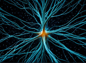 Иррациональность выбора: Как "эффект приманки" и алгоритмы формируют наши предпочтения