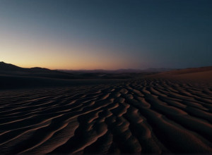 Энн Уолдман, последняя поэтесса бит-поколения: «Поэзия должна звучать как тревога»