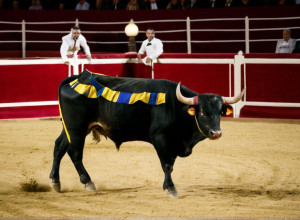 Церемония награждения победителей корриды в Казино де Мадрид: отсутствие Моранте де ла Пуэбла