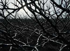 Феминистское движение в Испании: От сбоев в браслетах до отрицания насилия перед 25-N