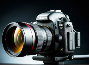 Пример статьи на русском