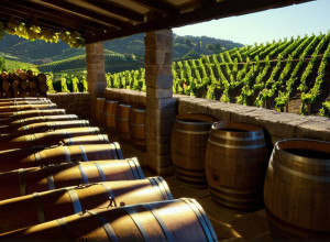 Нурия Реном: Винодел, Строящий Мечту о Натуральных Винах с Уважением и Последовательностью в Альт-Пенедес