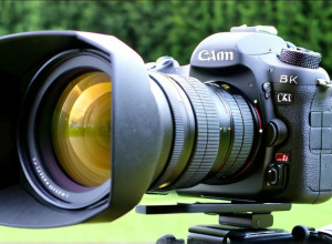 Русский язык