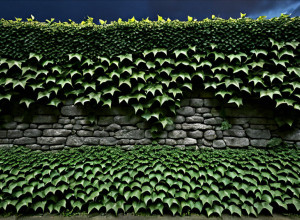 Подкаст Давида Уклеса "Четыре раны" раскрывает Гражданскую войну в Испании и её современное эхо