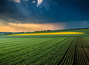 История Украины