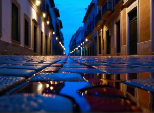 Полицейский погиб в Валенсии, пытаясь предотвратить кражу голубей