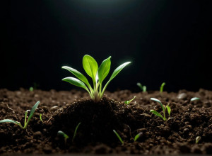 C. Tangana и Росио Агирре ждут первенца: подробности личной жизни известной пары