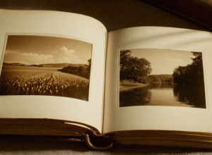 Альба Флорес о смерти отца: "Чувствовала себя очень уязвимой" и документальный фильм "Цветы для Антонио"