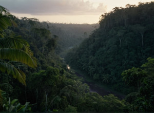 В Колумбии подтверждена гибель шести детей в результате военной бомбардировки в Гуавиаре