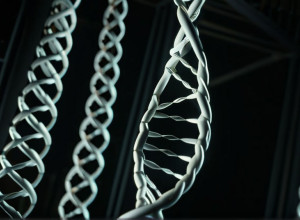 Документальный фильм об ДНК Гитлера: новые открытия и этические дилеммы